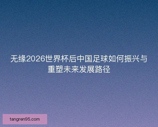 无缘2026世界杯后中国足球如何振兴与重塑未来发展路径