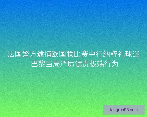 法国警方逮捕欧国联比赛中行纳粹礼球迷 巴黎当局严厉谴责极端行为