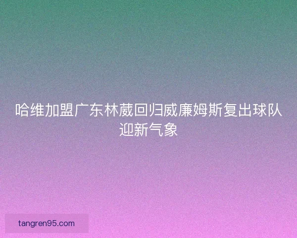 哈维加盟广东林葳回归威廉姆斯复出球队迎新气象