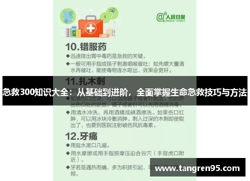 急救300知识大全：从基础到进阶，全面掌握生命急救技巧与方法